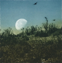 View works by Luella Martin