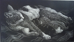 Cat With Kittens tbc Print by Charles  F Tunnicliffe
