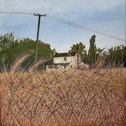 House in the Cornfields Painting by Chris Wenlock