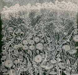 Winter Dandelions Painting by Chris Wenlock