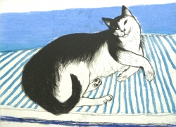 Toby Print by Elizabeth Blackadder