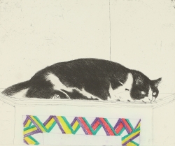 Fred on Top of a Cupboard Print by Elizabeth Blackadder