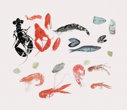 Seafood Medley Print by Elizabeth Blackadder