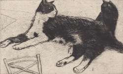 Fred Print by Elizabeth Blackadder