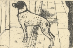 Venice Dog Print by Elizabeth Blackadder
