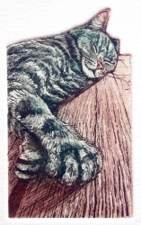Big Pause Print by Glynn Thomas