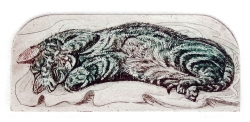 Siesta Print by Glynn Thomas