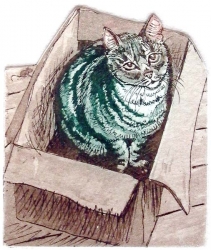 Cat in the Box Print by Glynn Thomas