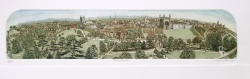 The Backs Print by Glynn Thomas