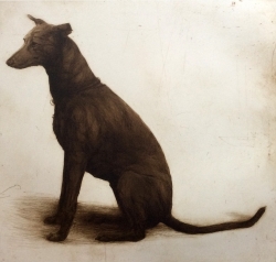 Beauty Print by Helen Fay