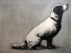 Masie Print by Helen Fay