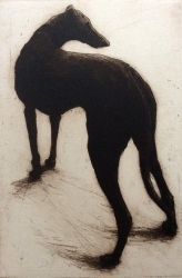 Polly Print by Helen Fay