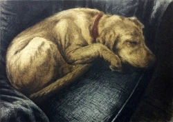 After the Walk Print by Helen Fay