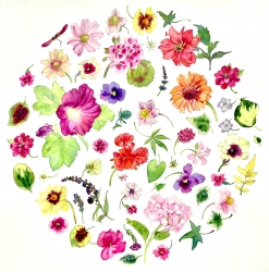 Summer Circle Painting by Helen Millar