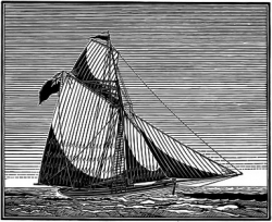 Pearl Print by James Dodds