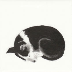 A Dogs Life Print by Kay McDonagh