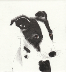 Butter wouldn't melt Print by Kay McDonagh