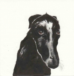 Caught Print by Kay McDonagh