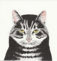 Devil Thoughts Print by Kay McDonagh