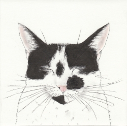 Dotty Print by Kay McDonagh