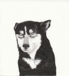 Gale Force Print by Kay McDonagh