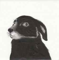 Guilty - FRAMED Print by Kay McDonagh