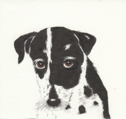 Naughtly but Nice Print by Kay McDonagh
