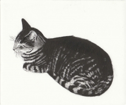 Molly Print by Kay McDonagh
