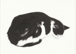 Nodding off Print by Kay McDonagh