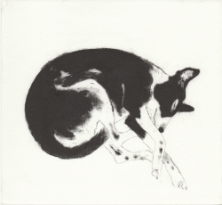 Shut eye Print by Kay McDonagh