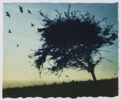 Golden Light Print by Luella Martin