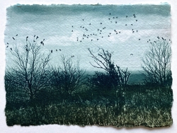 Roosting Print by Luella Martin