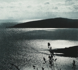 Silver Sea Print by Luella Martin