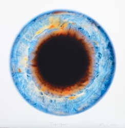 Toposphere Print by Marc Quinn