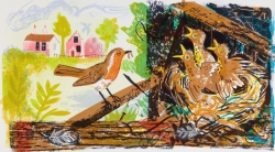 A Robin's Nest Print by Mark Hearld