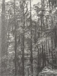 Forrest Lake Painting by Nick Lumb