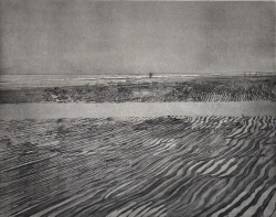 Seascale Print by Peter Coker