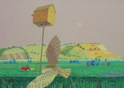 Owl Box and Barn Owl, Wittersham Leves Painting by Ronald Hellen