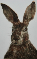 WIth Whiskers all a quiver Print by Sonia Rollo