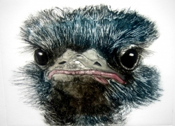 Another Bad Hair Day Print by Sonia Rollo