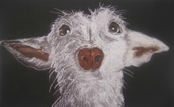 The Love of your Life Print by Sonia Rollo