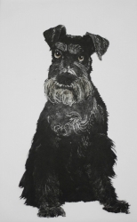 Stan The Man Print by Sonia Rollo
