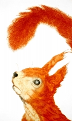 Call of the Wild Print by Sonia Rollo