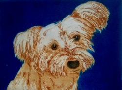 Little Miss Lulu Print by Sonia Rollo