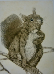 Tufts and Tail Print by Sonia Rollo