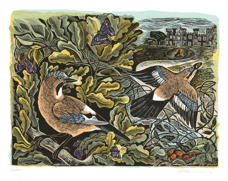 knepp Jay and Oak Tree knepp Jay and Oak Tree by Angela Harding (tbc)