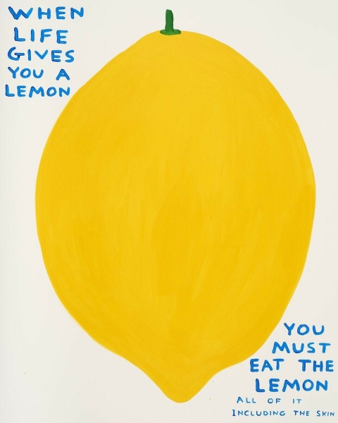 When life gives you Lemons When life gives you Lemons by David Shrigley OBE (1968)