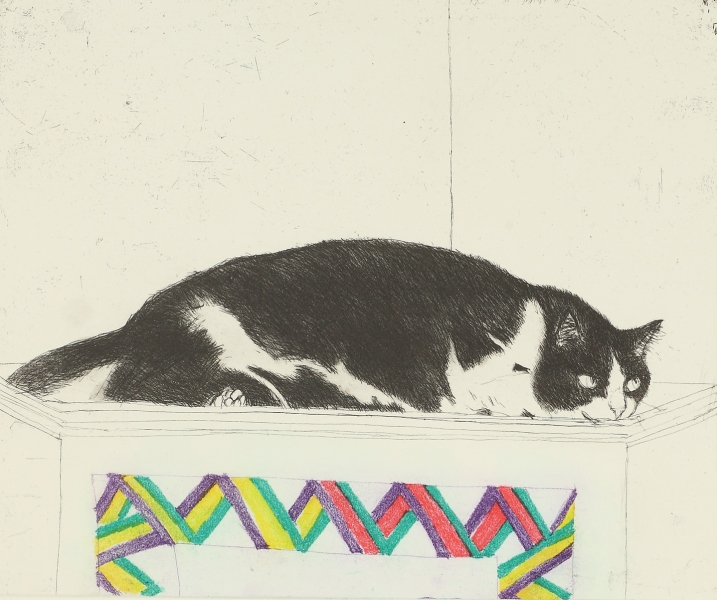 Fred on Top of a Cupboard by Dame Elizabeth Blackadder  DBE, RWS, RA, RSA (1931 - 2021)
