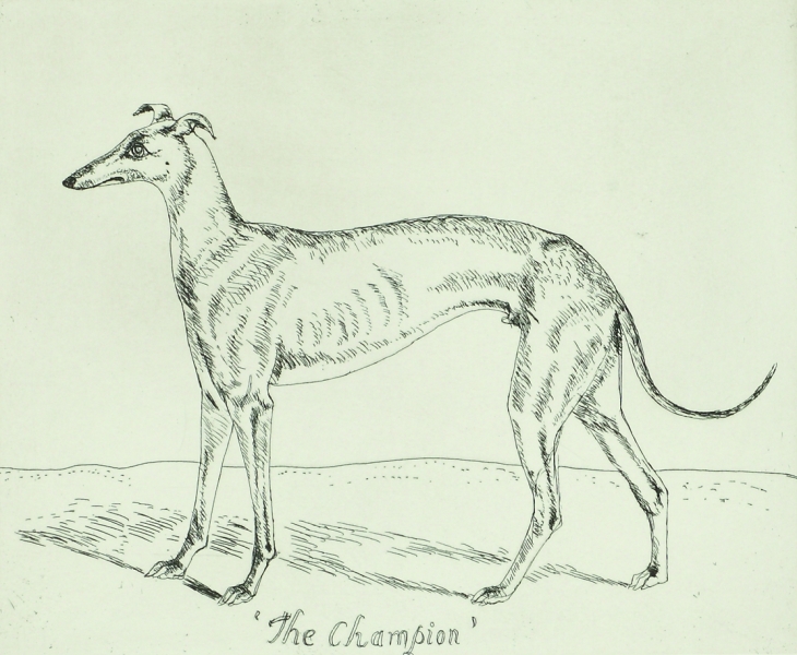 Champion Champion by Dame Elizabeth Blackadder DBE, RWS, RA, RSA (1931 - 2021)