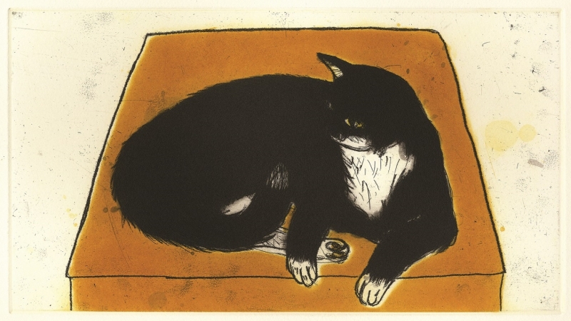 Louis in a Box by Dame Elizabeth Blackadder  DBE, RWS, RA, RSA (1931 - 2021)